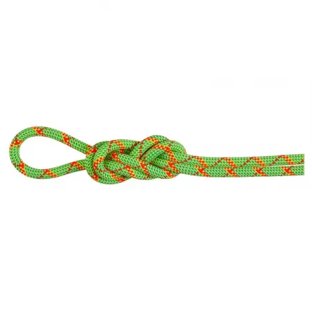 마무트 Alpine Core Protect Dry 8 mm 로프 2141857539