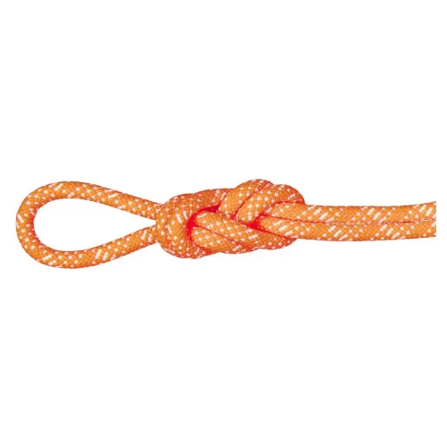 마무트 Gym Station Classic 10.1 mm 로프 2141857585