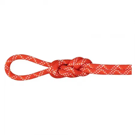 마무트 Gym Classic 9.5 mm 로프 2141920874