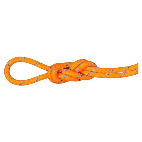 마무트 8.7 mm Alpine Sender Dry 30 m 로프 2142466529