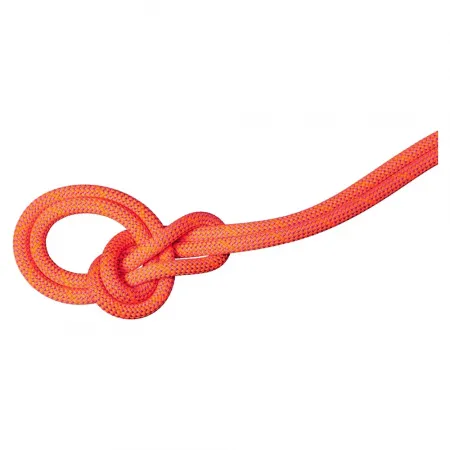 마무트 9.8 mm Crag Dry 70 m 로프 2142466561