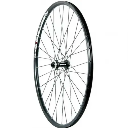MASSI Black Gold 2 29´´ CL Disc MTB 앞바퀴 3136061039