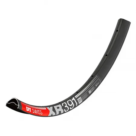 DT스위스 XR 391 디스크 휠 3137985616