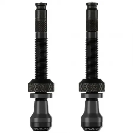 SCHWALBE 튜블리스 Presta 60 mm 밸브 2 단위 3141659786