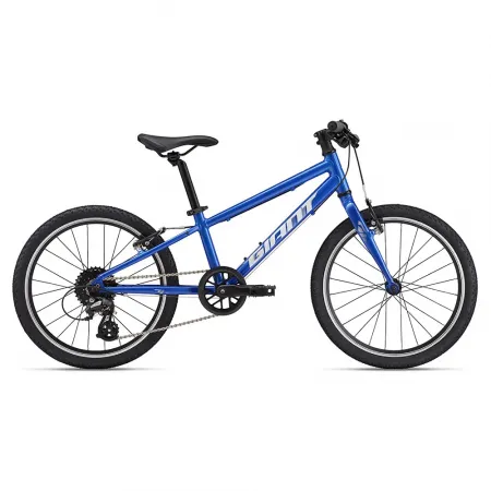 자이언트 ARX 20in Altus RD-M310 2025 산악자전거 3142160637