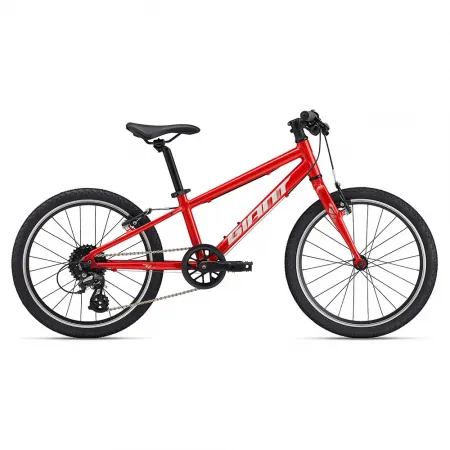 자이언트 ARX 20in Altus RD-M310 2025 산악자전거 3142160638