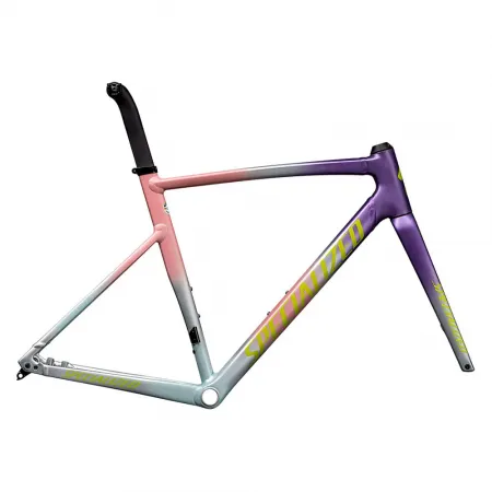 스페셜라이즈드 Allez Sprint 2025 로드 프레임 3142320482