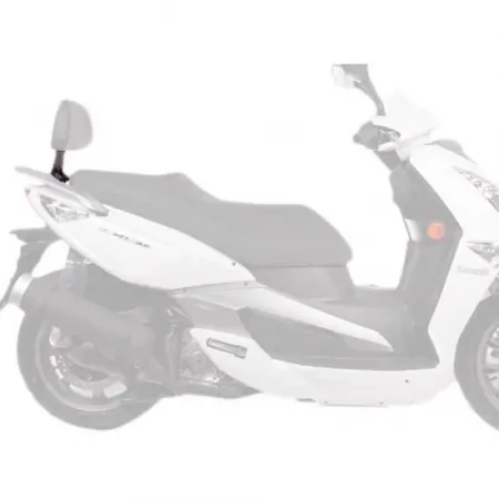 샤드 Aeon Elite/Urban 125/350i&베넬리 ZenZero 125i/350i&Quadro 3D 360 등받이 장착 4136277795