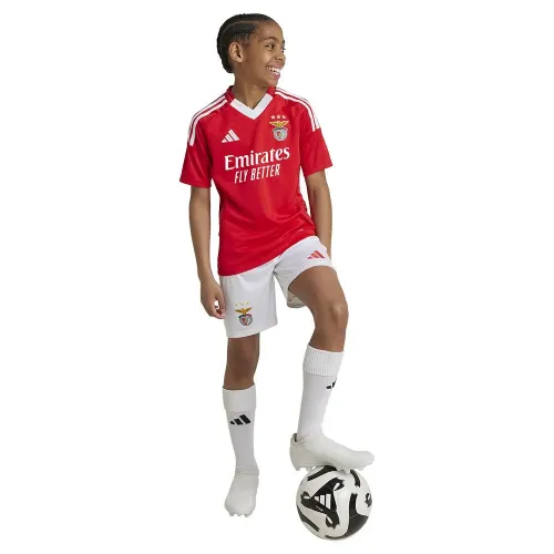 아디다스 Benfica 24/25 집 주니어 반팔 티셔츠 5141010676
