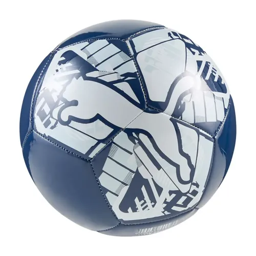 푸마 Big Cat 미니 축구공 5142663990