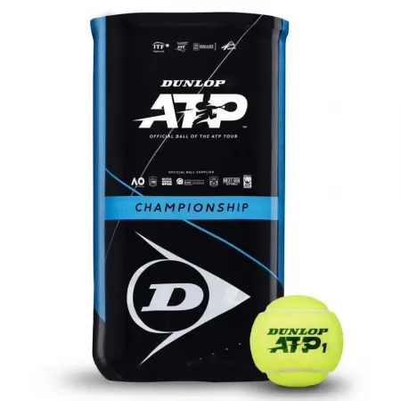 던롭 Atp Championship 테니스 공 2 팩 6138441754