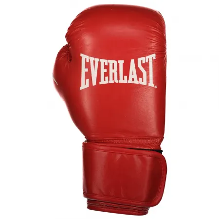 에버라스트 Amateur competition fight 인조 가죽 복싱 글러브 6141406345