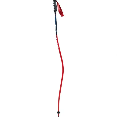 스윅스 World Cup Pro DH Carbon 지팡이 8138472167