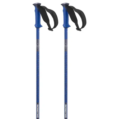 살로몬 Polar Pro 지팡이 8141199341