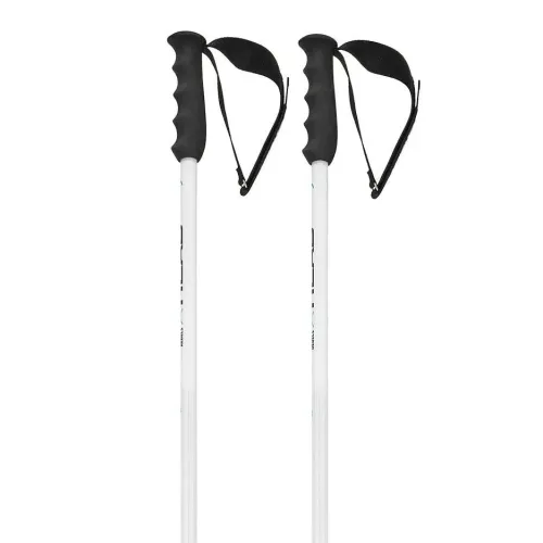 헤드 Worldcup sl 지팡이 8142286647