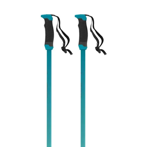 아토믹 Redster X SQS 지팡이 8142447245