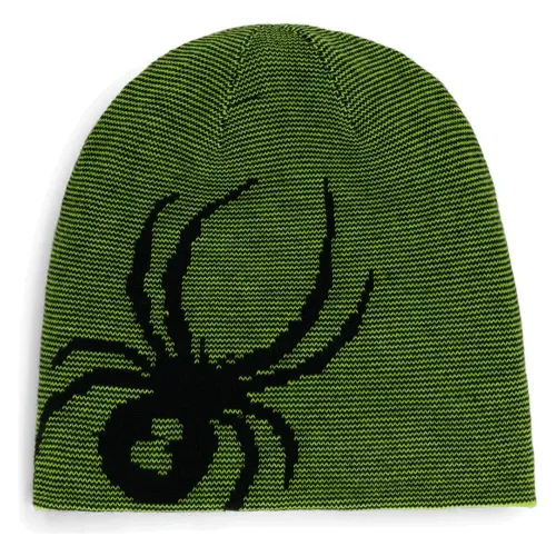 스파이더 Reversible Bug 비니 8142495077