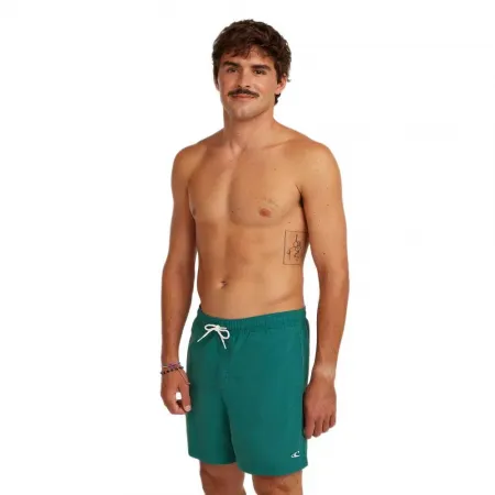 오닐 Vert 16in 수영 반바지 9142838644