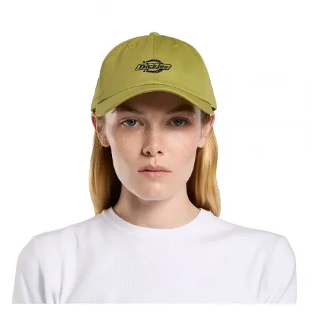 디키즈 에센셜 Dad 모자 142181247