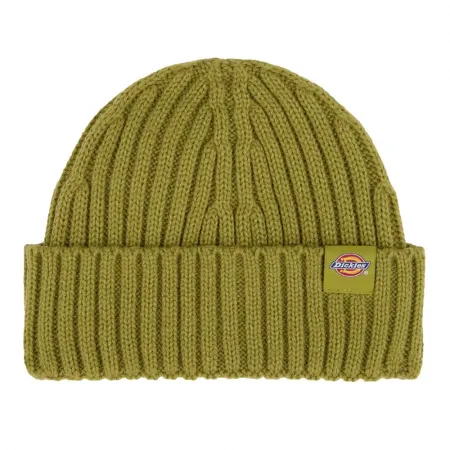 디키즈 Lockwood 비니 142181359