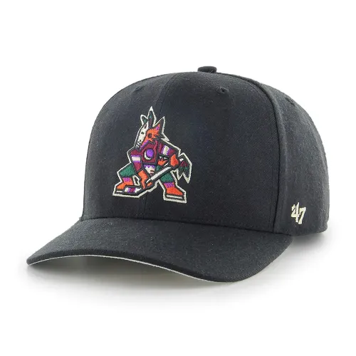 47 NHL 애리조나 Coyotes Cold Zone MVP DP 모자 142371863
