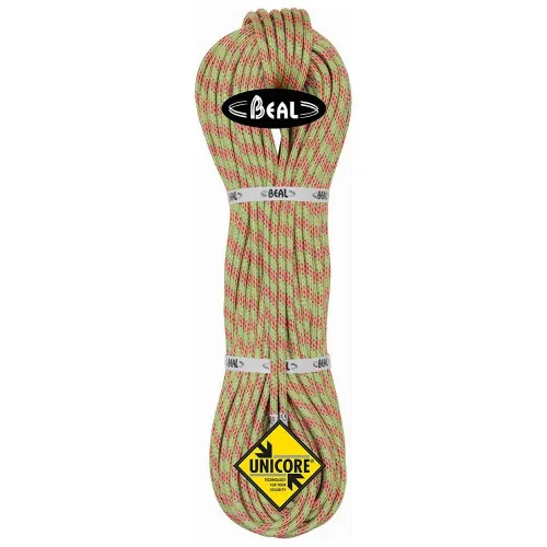 BEAL Ice Line 골든 Dry 8.1 mm 로프 2 팩 2139184964