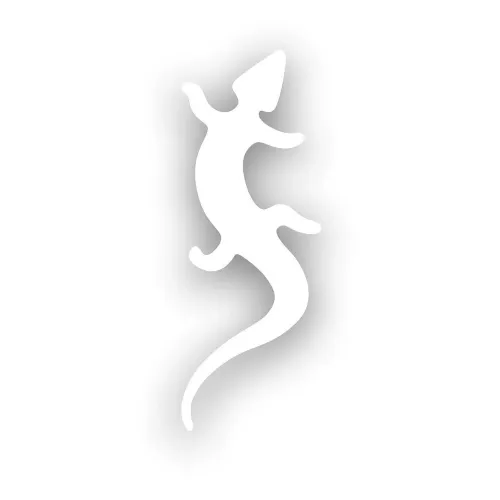 FIXE 클라이밍 GEAR 작은 도마뱀 스티커 2139827269