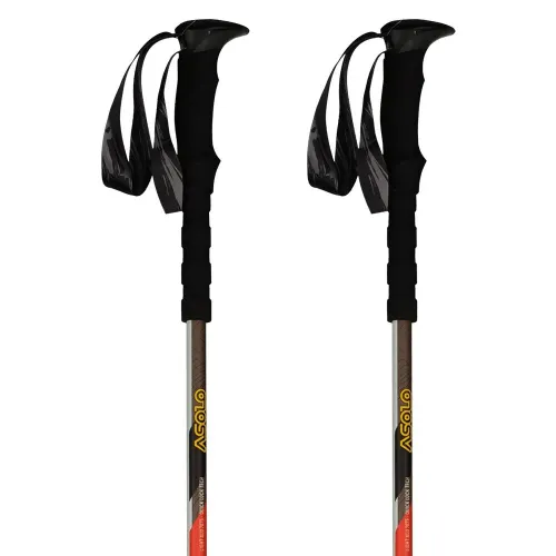 아솔로 Aspe QL DLX 등산 스틱 2140294604