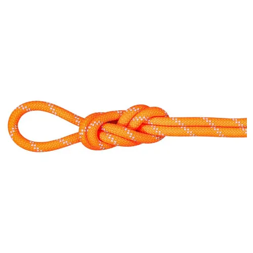 마무트 Alpine 9.5 mm 로프 2141857533