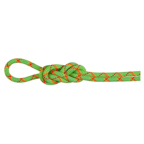 마무트 Alpine Core Protect Dry 8 mm 로프 2141857539