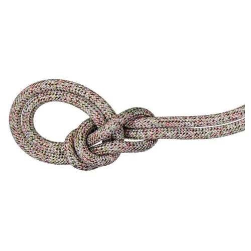 마무트 Crag We Care Classic 9.5 mm 로프 2141920864