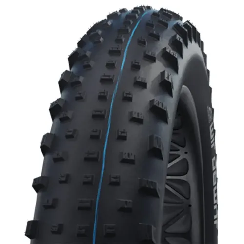 SCHWALBE Jumbo Jim Performance Addix 26in x 4.00 MTB 타이어 3136847036
