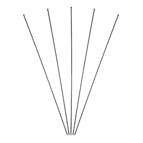 MASSI Tour 디스크 스포크 5 단위 3138316168