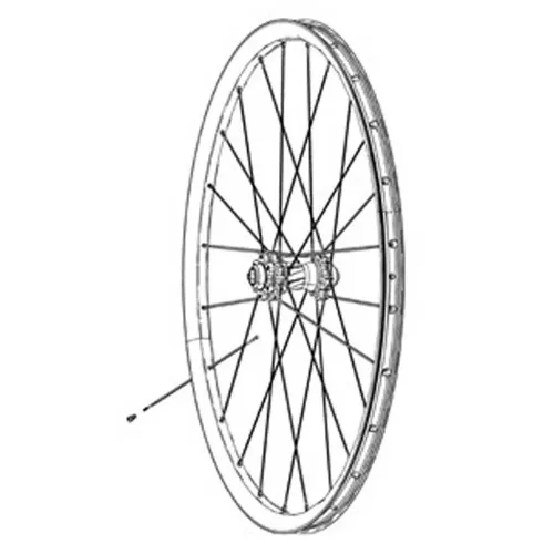 ZIPP 808 2022 Graphics 스티커 3139043651