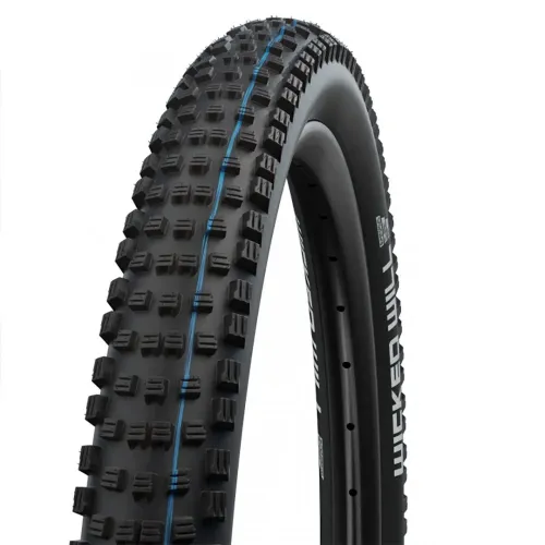 SCHWALBE Wicked Will Evo 튜블리스 29in x 2.60 MTB 타이어 3139839630
