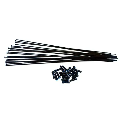 비젼 Trimax Carbon TC50 스포크와 니플 키트 20 단위 3139913857