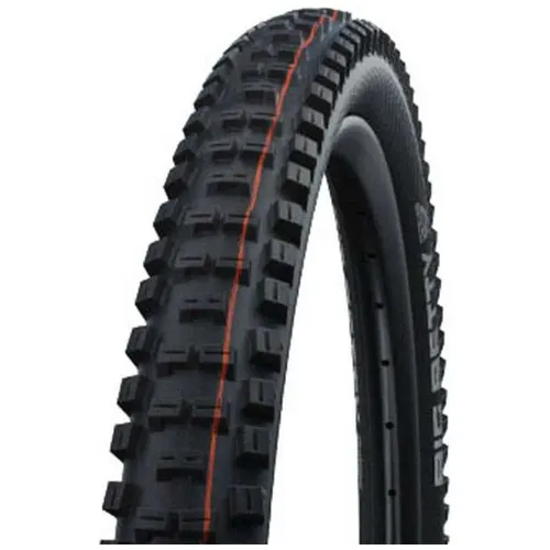 SCHWALBE Big Betty Evolution Super Trail 튜블리스 29in x 2.40 MTB 타이어 3140559245