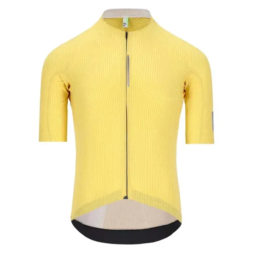 Q36.5 Pinstripe PRO 반팔 져지 3140648958