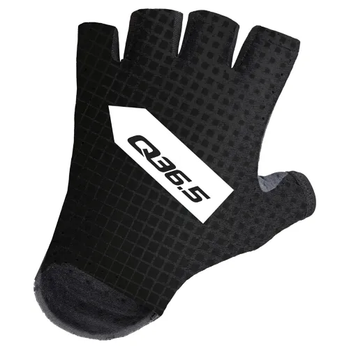 Q36.5 Pro Cycling Team 반 장갑 3141194773