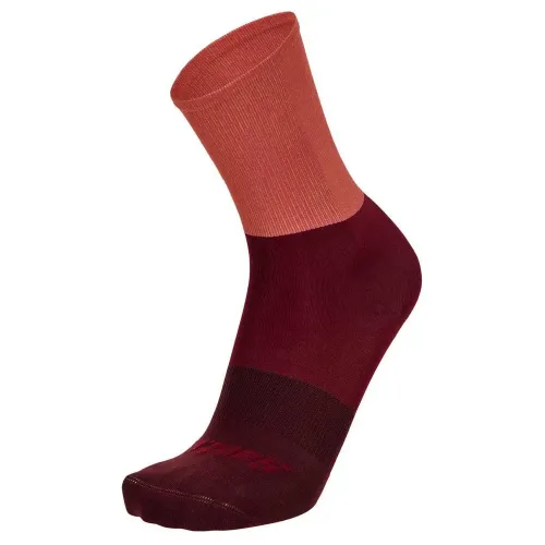 산티니 Big Bengal 양말 3141232624