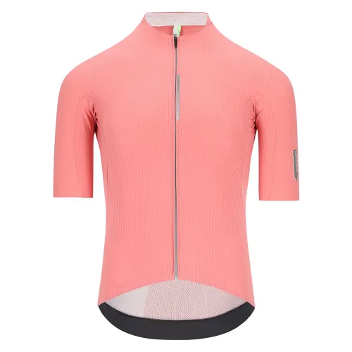 Q36.5 Dottore Pro 반팔 져지 3141807804