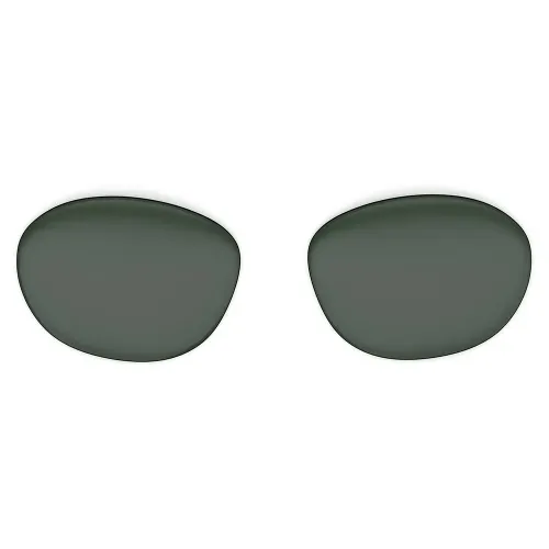 라파 Dalton 교체용 렌즈 3141892565