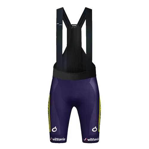 고빅 Absolute Print K10 Wilier Team 2025 빕숏 3142065987