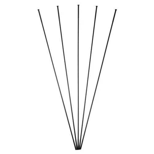 MASSI Tour DB + Protour DB 스포크 5 단위 3142319873