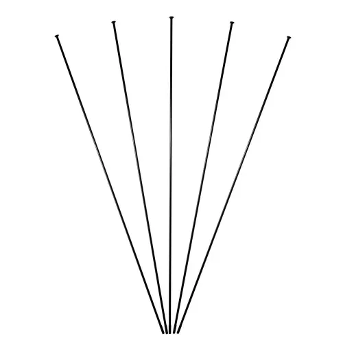 MASSI Volta 스포크 5 단위 3142319880