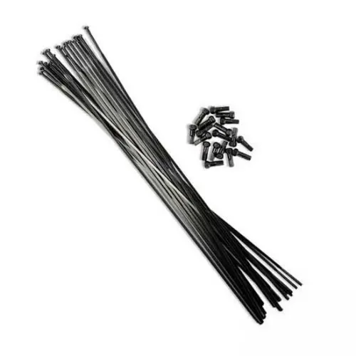 비젼 SC40 2/1.5/2 272/275 mm Inox 스포크와 니플 키트 3142426896