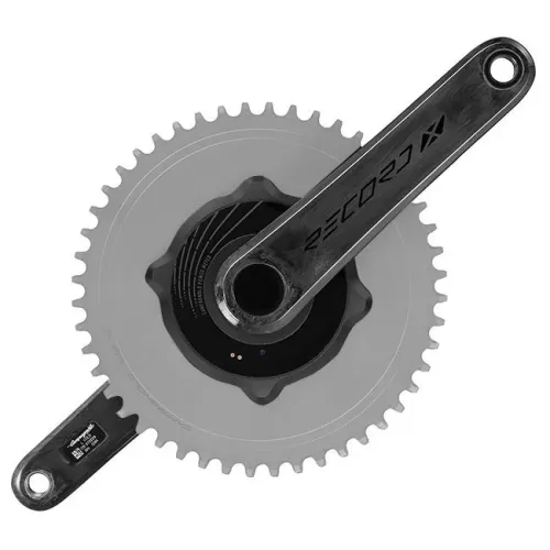 캄파놀로 레코드 X WRL 1x13s 파워미터 크랭크 3143635767