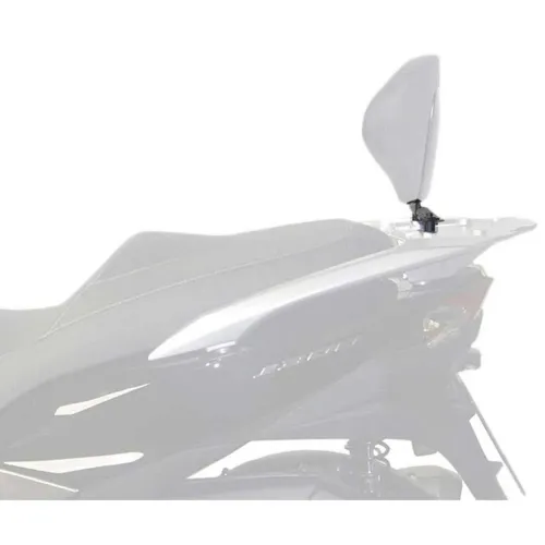 샤드 가와사키 J125/300 등받이 장착 4135967818