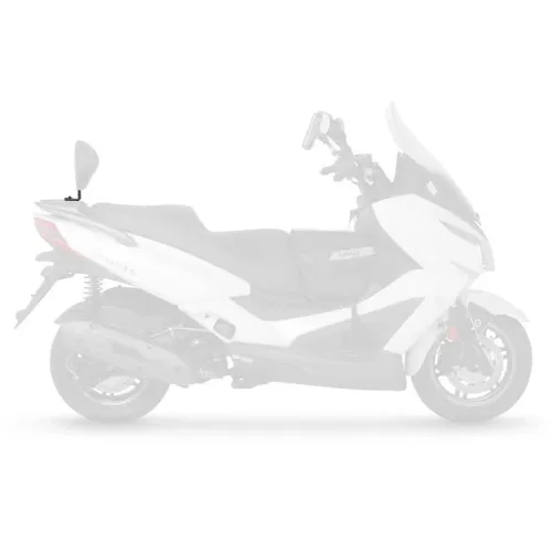 샤드 킴코 Grand Dink 125/300&X-Town 125i/300i 등받이 장착 4136437362