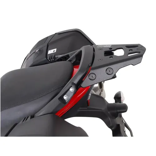 SW모텍 트라이엄프 수화물 랙 4138821211